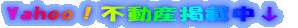 Yahoo�I�s���Y�f�ڒ���